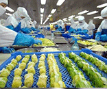 富士通为生鲜食品厂定制洁净方案，助力食品厂美好环境建设